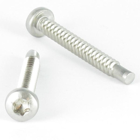 1 x Vis tôle tête cylindrique bombée large 4.2X35 Inox A2 TORX T20 Bout pilote