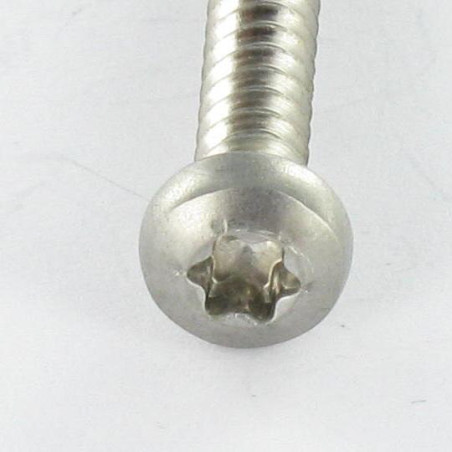 1 x Vis tôle tête cylindrique bombée large 4.2X35 Inox A2 TORX T20 Bout pilote
