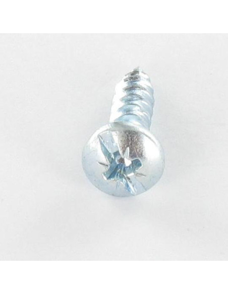 1 x VBA Vis bois agglo Tête ronde TR POZI et fendu 5X20 Diamètre de tête: 10 Acier zingué