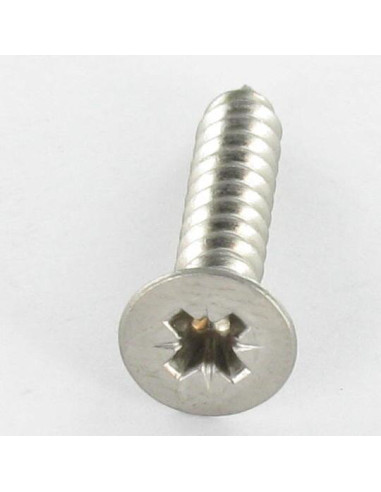 1 x Vis tôle Inox A2 Tête fraisée Pozi 4.2X60