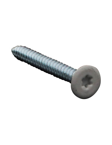 1 x Vis tôle Double filet Tête plate TORX T20...