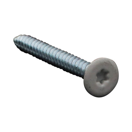1 x Vis tôle Double filet Tête plate TORX T20 4.8X45 Acier zingué RAL9010 blanc pur