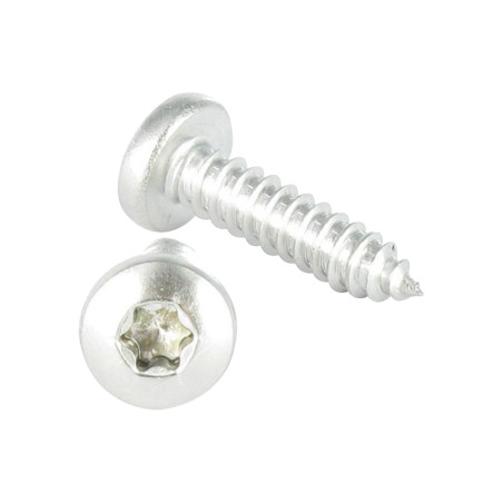 1 x Vis tôle tête cylindrique bombée large 4.8X60 Inox A2 TORX T25