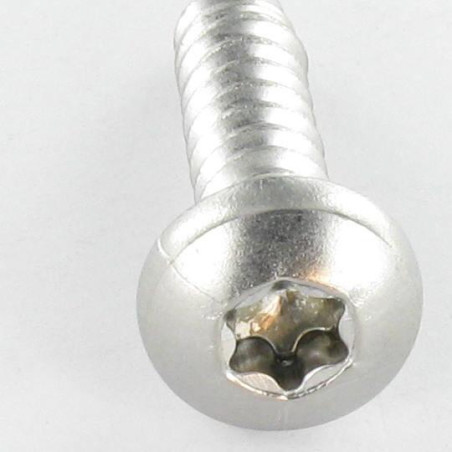 1 x Vis tôle tête cylindrique bombée large 4.8X25 Inox A2 TORX T25