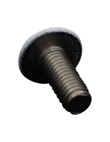 1 x Vis métaux Poelier Pozi M6X16 Inox A2 Laqué...