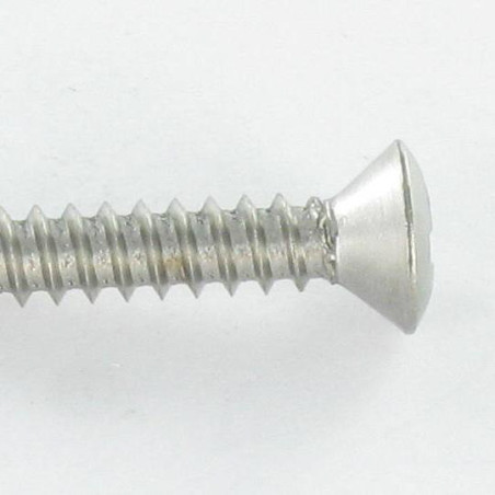 1 x Vis tôle Inox A2 Tête fraisée bombée TFB Pozi 2.9X19