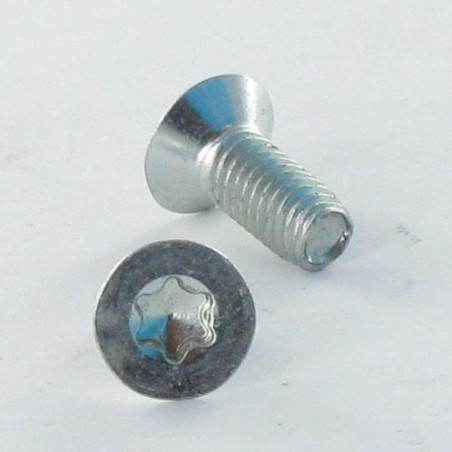 1 x Vis autotaraudeuse Tête fraisée M5X30 TORX T25 Acier zingué