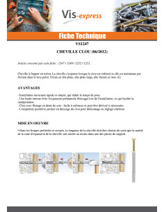 Cheville Clou RAWLPLUG Tête plate 6X40 2
