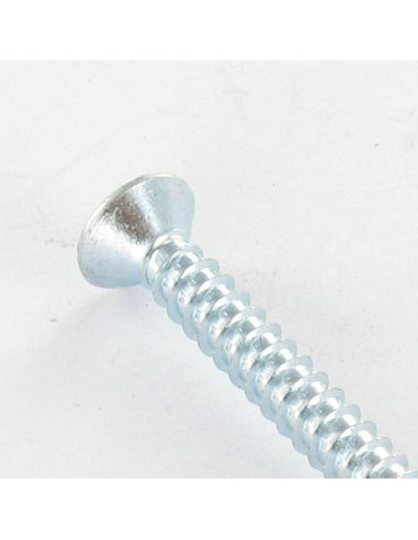 1 x Vis tôle Tête fraisée Pozi 6.3X50 Acier zingué