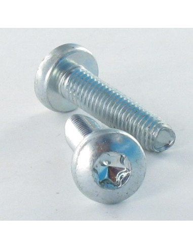 1 x Vis autotaraudeuse tête cylindrique bombée...