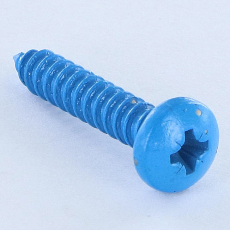 1 x Vis tôle Inox A2 tête cylindrique bombée large Pozi 4.8X25 Bleu RAL5012