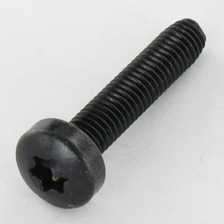 1 x Vis autotaraudeuse tête cylindrique bombée large M4X8 TORX T20 Acier zingué noir