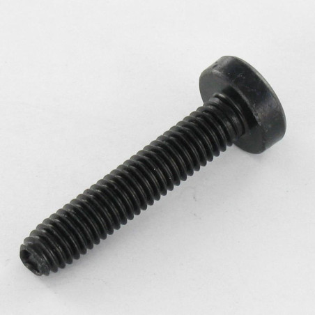 1 x Vis autotaraudeuse tête cylindrique bombée large M4X8 TORX T20 Acier zingué noir