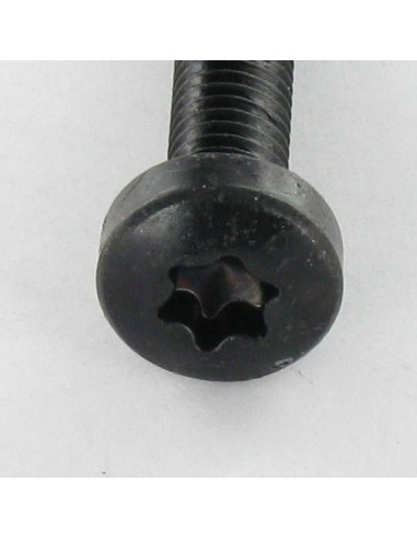 1 x Vis autotaraudeuse tête cylindrique bombée...