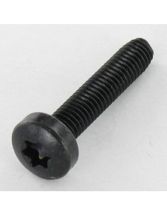 Vis autotaraudeuse tête cylindrique bombée large 5X16...