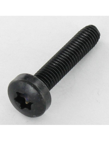 1 x Vis autotaraudeuse tête cylindrique bombée...