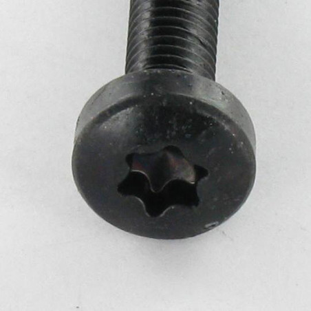1 x Vis autotaraudeuse tête cylindrique bombée large M5X16 TORX T25 Acier zingué noir