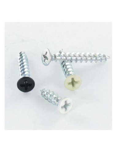 1 x Vis pvc 30 Tête fraisée Phillips 4.3X13...