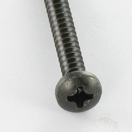1 x Vis tôle Inox A2 tête cylindrique bombée large Pozi 4.8X25 Noir