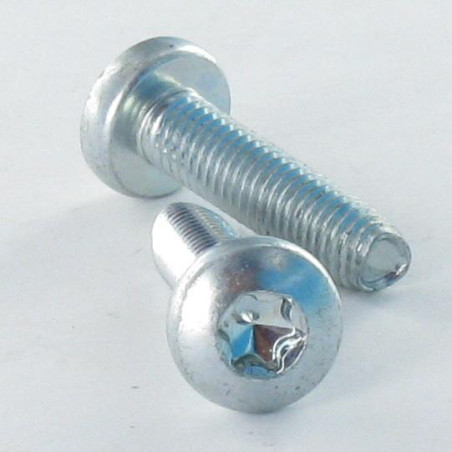 1 x Vis autotaraudeuse tête cylindrique bombée large M2.5X8 TORX T8 Acier zingué microvis