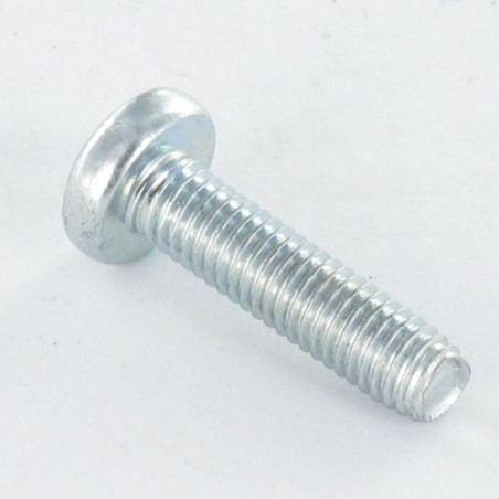 1 x Vis autotaraudeuse tête cylindrique bombée large M2.5X8 TORX T8 Acier zingué microvis