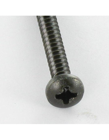 1 x Vis tôle Inox A2 Noir tête cylindrique...