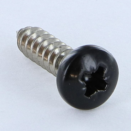 1 x Vis tôle Inox A2 tête cylindrique bombée large Pozi 4.8X19 RAL9005 noir foncé
