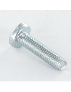 Vis autotaraudeuse tête cylindrique bombée large 5X16... 2