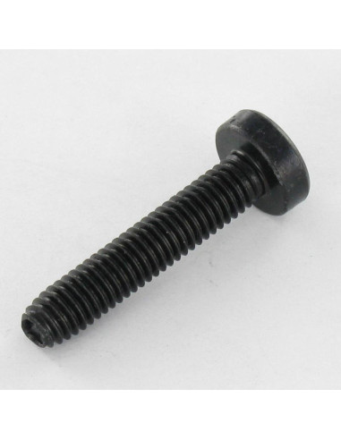 1 x Vis autotaraudeuse tête cylindrique bombée...