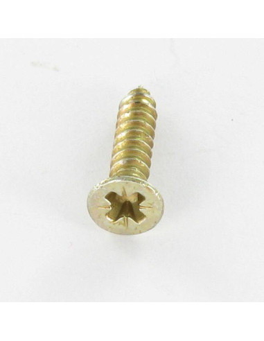 1 x Vis tôle Tête fraisée Pozi 4.8X16 Bichromaté