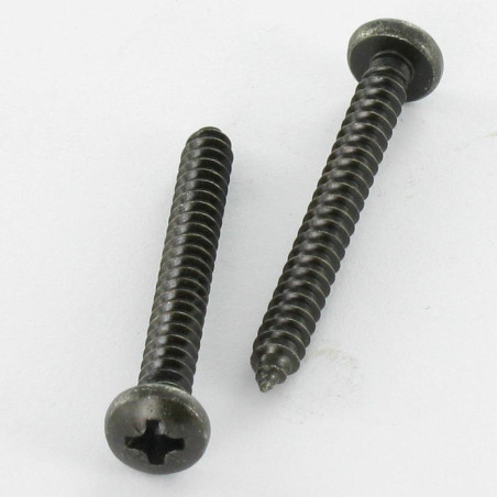 1 x Vis tôle Inox A2 tête cylindrique bombée large Pozi 2.9X13 Noir