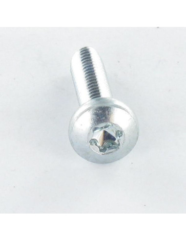 1 x Vis autotaraudeuse tête cylindrique bombée...