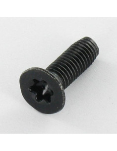 Vis autotaraudeuse Tête fraisée M5X16 TORX T25 Acier...