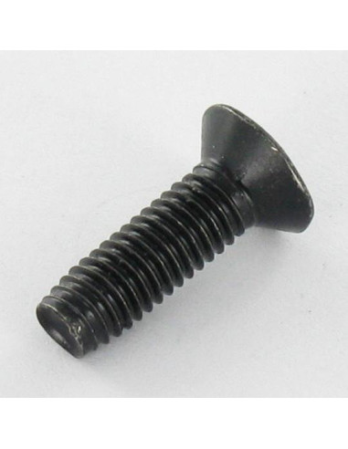 1 x Vis autotaraudeuse Tête fraisée M5X16 TORX...