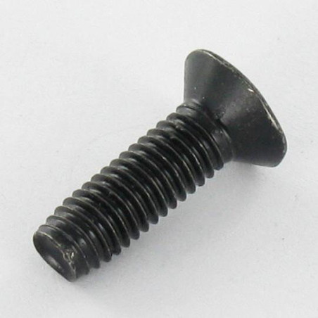 1 x Vis autotaraudeuse Tête fraisée M5X16 TORX T25 Acier zingué noir