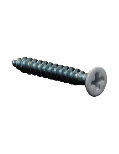 1 x Vis pvc 30 Tête fraisée Phillips 4.3X30...