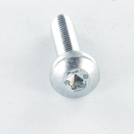 1 x Vis autotaraudeuse tête cylindrique bombée large M4X10 TORX T20 Acier zingué
