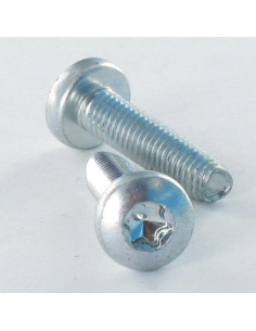 Vis autotaraudeuse tête cylindrique bombée large 5X20...