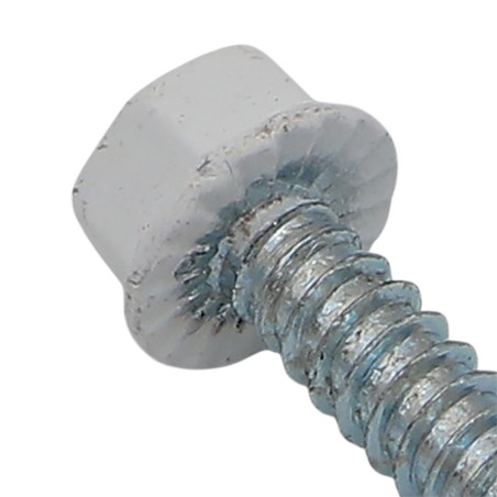 1 x Vis autoperceuse Tête hexagonale TH 4.8X19 Acier zingué Laqué blanc RAL9010 blanc pur 80% BRIL