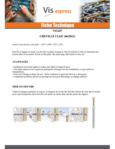 1 x Cheville Clou RAWLPLUG Tête plate 8X60...