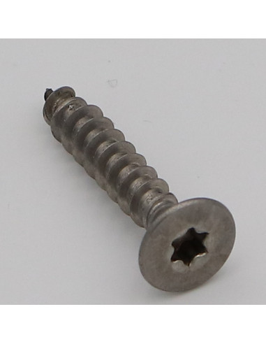 1 x VBA Vis bois agglo Tête fraisée TORX T25...