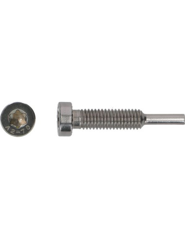 1 x Vis PINCE SOLAIRE M8X43 Inox A2