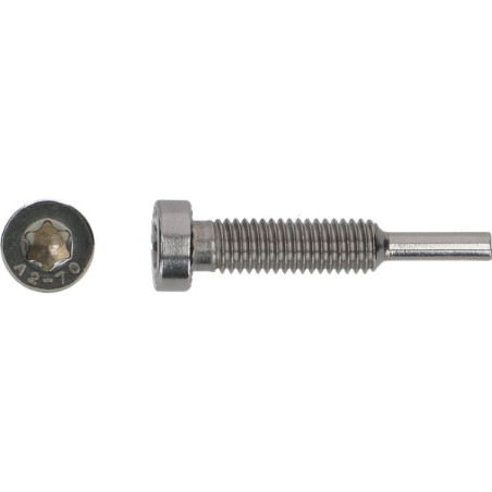 1 x Vis PINCE SOLAIRE M8X43 Inox A2