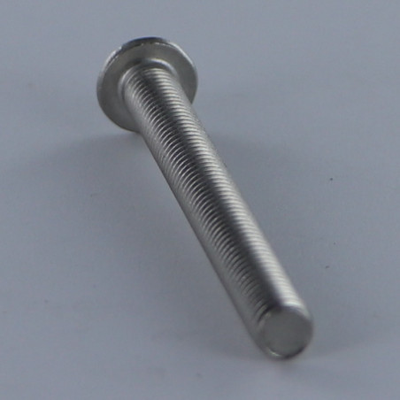1 x Vis métaux Tête Bombée T6 M2X5 Filetage total Inox A2 microvis