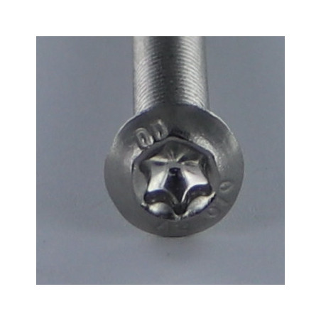 1 x Vis métaux Tête Bombée T6 M2X12 Filetage total Inox A2 microvis