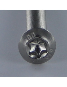 Vis métaux Tête Bombée TORX T25 M5X10 Filetage total Inox A2 2