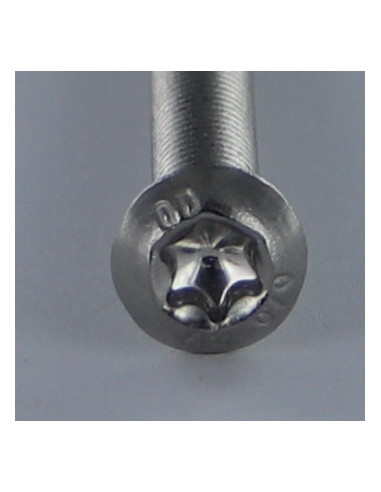 1 x Vis métaux Tête Bombée T6 M2X10 Filetage...