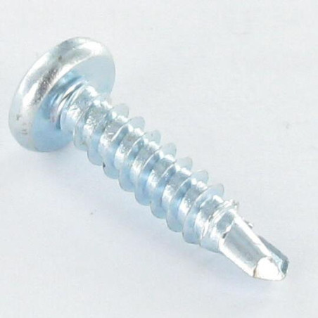 1 x Vis autoperceuse Tête cylindrique bombée TCB 5.5X19 TORX T25 Acier zingué
