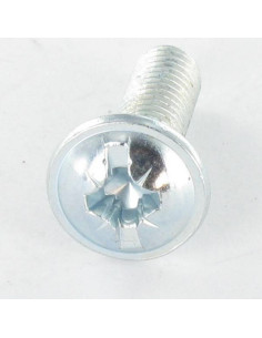 Vis Poelier POZI et fendu M4X12 Acier zingué 2