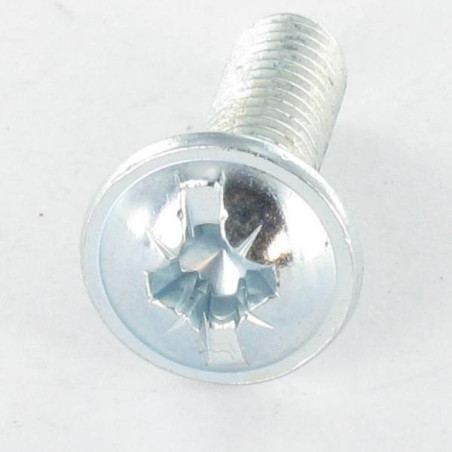 1 x Vis Poelier POZI et fendu M5X70 Acier zingué